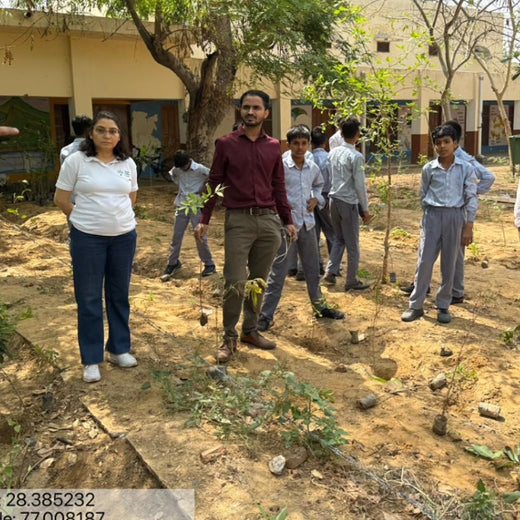 Innovating Sustainability: Xebia’s Urban Forest Footprint – Planting