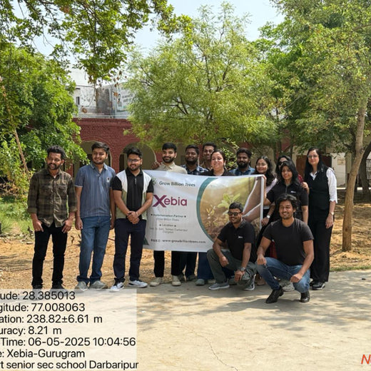 Innovating Sustainability: Xebia’s Urban Forest Footprint – Planting