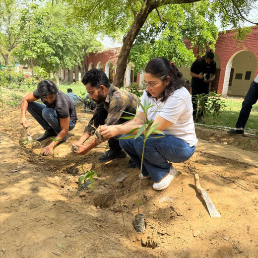 Innovating Sustainability: Xebia’s Urban Forest Footprint – Planting