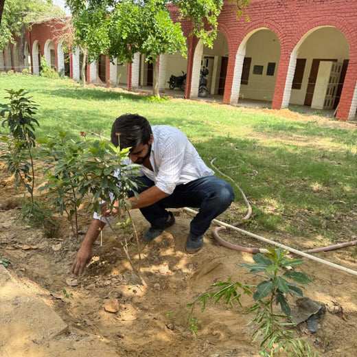 Innovating Sustainability: Xebia’s Urban Forest Footprint – Planting