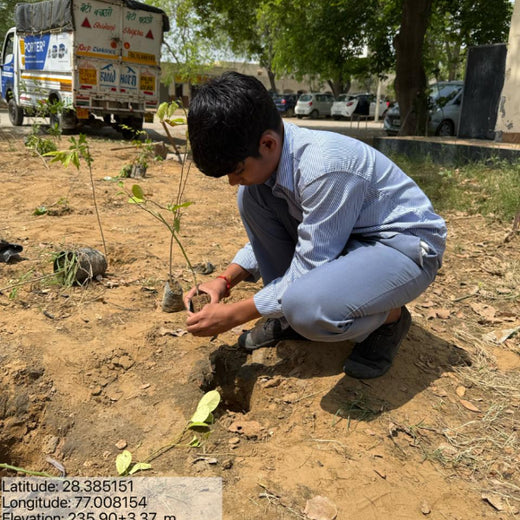 Innovating Sustainability: Xebia’s Urban Forest Footprint – Planting
