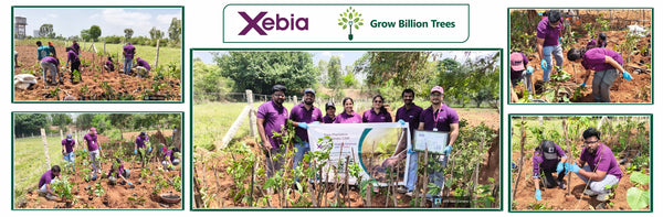 Rooting Innovation in Nature: Xebia's Tree Plantation Initiative