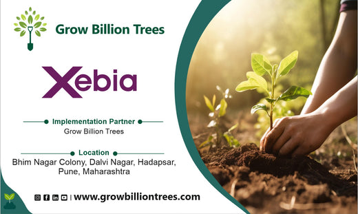 Green Intelligence: Xebia’s Smart Step Toward Sustainability – 6 months