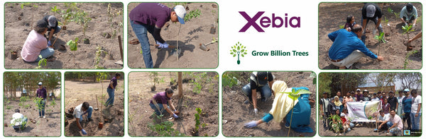 Green Intelligence: Xebia’s Smart Step Toward Sustainability