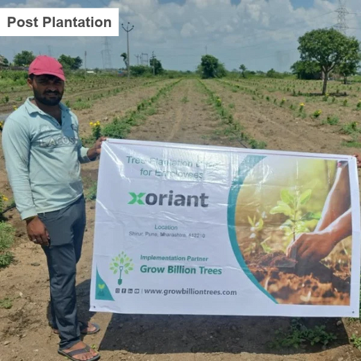 Birthday Tree Initiative by Xoriant: Growing a Greener Future – 6 months
