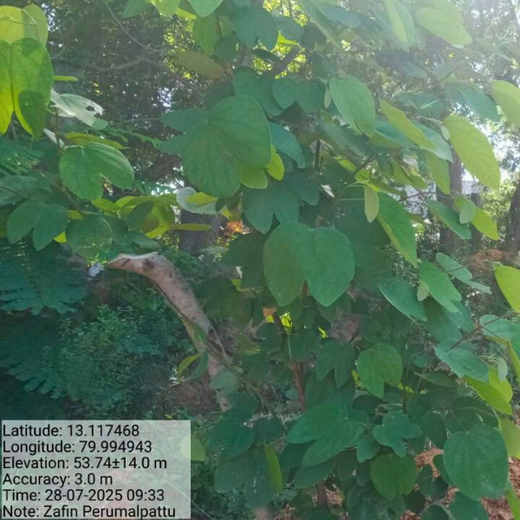 Tech Meets Trees: Zafin’s Urban Forest for ESG and Beyond – 1 year
