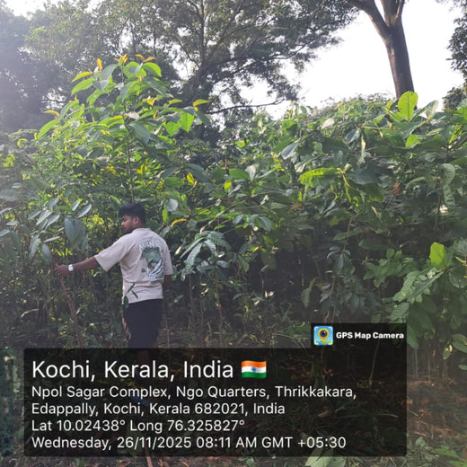 Zafin Goes Green: Cultivating ESG Values Through Urban Forestry – 1 year