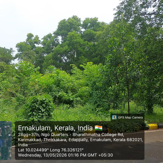 Zafin Goes Green: Cultivating ESG Values Through Urban Forestry – 2 years