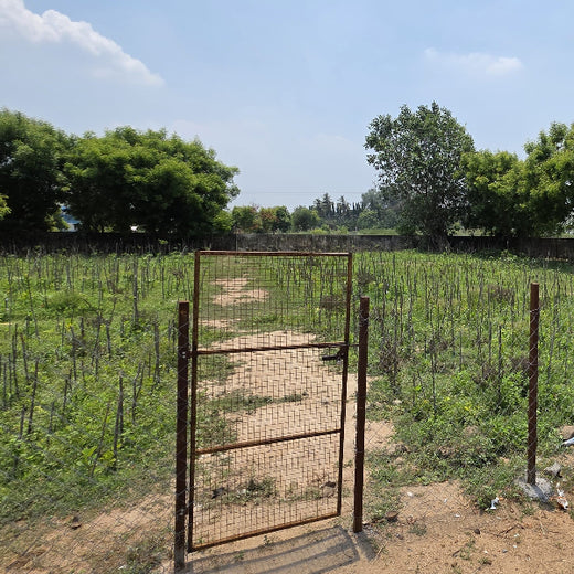 Caterpillar's Legacy: A Learning forest in Kadambathur, Thiruvallur – 2 years