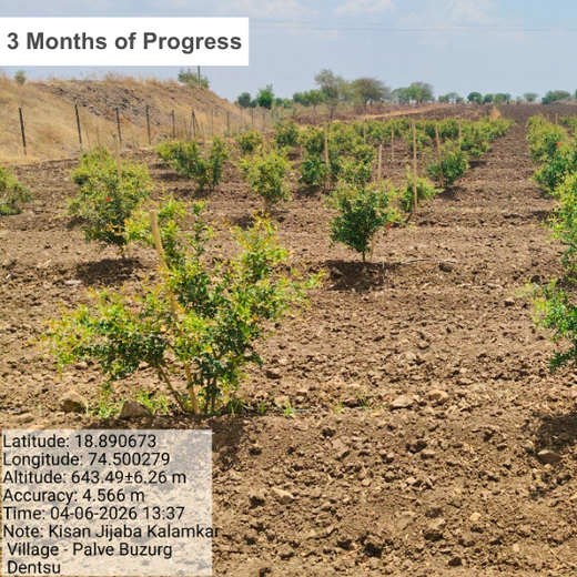 Planting Hope for Future Generations with Dentsu Global Services – 1 year