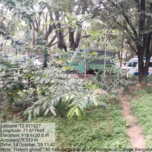 Healthier Tomorrow Starts Today: Haleon Global's Urban Greenery – 6 months