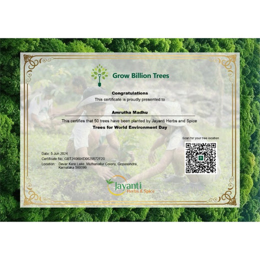 Celebrating World Environment Day: Jayanti Herbs & Spice's Commitment to Urban Forests and Employee Engagement – Planting