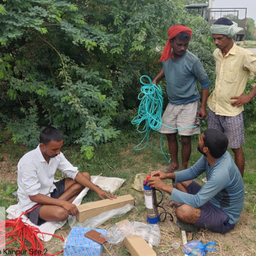 Trees for Tomorrow: A Reliance Foundation Initiative in Kanpur Dehat – 1 year