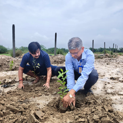 Trees for Tomorrow: A Reliance Foundation Initiative in Kanpur Dehat – 6 months