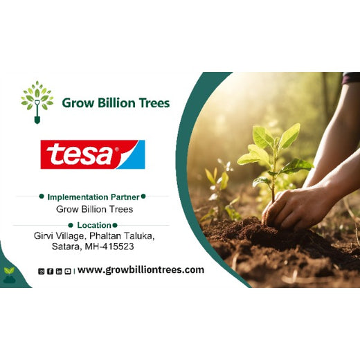 Bonding with Nature: tesa Tapes' Carbon-Conscious Celebration – 6 months