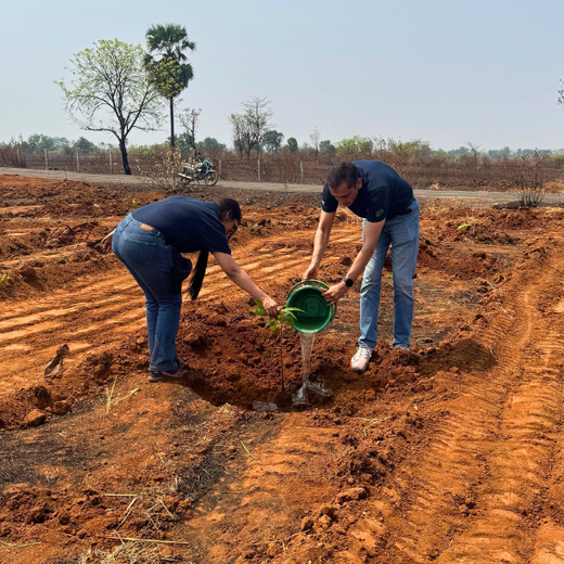 Vertelo’s Dual Celebration: 1st Anniversary with Earth Day Spirit – 6 months