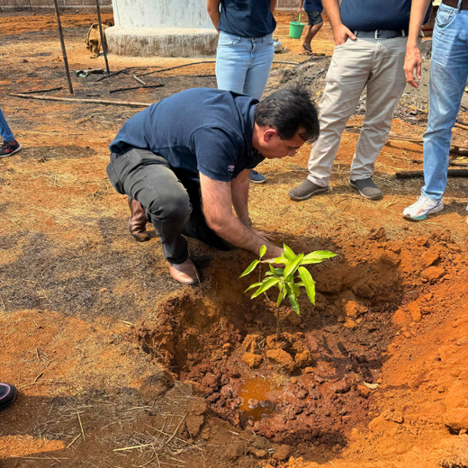 Vertelo’s Dual Celebration: 1st Anniversary with Earth Day Spirit – 6 months