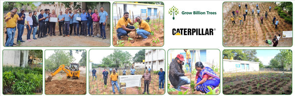 Caterpillar's Legacy: A Learning forest in Denkanikottai Tamilnadu