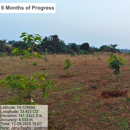 Group Landmark’s ROAR: Driving CSR Through Agroforests – 2 years