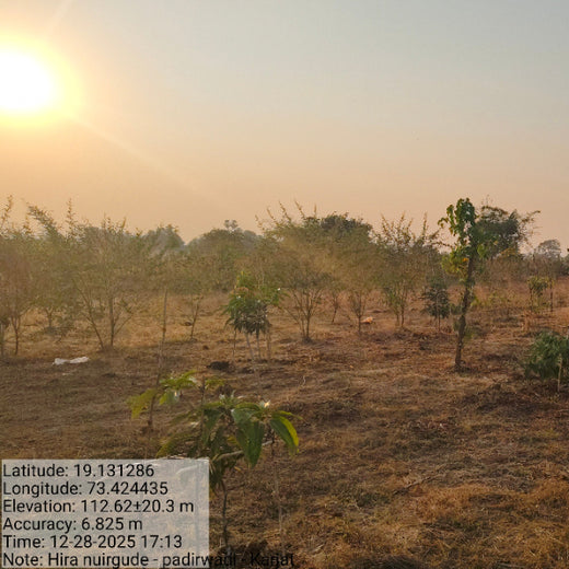 Group Landmark’s ROAR: Driving CSR Through Agroforests – 2 years