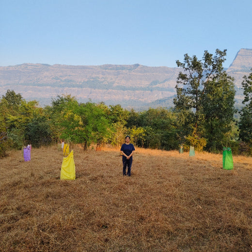 Group Landmark’s ROAR: Driving CSR Through Agroforests – 2 years