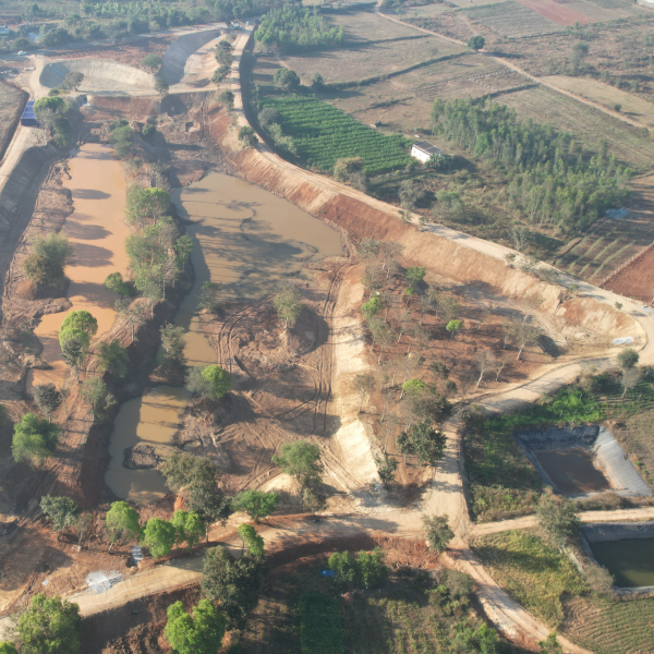 Trees for Bangalore