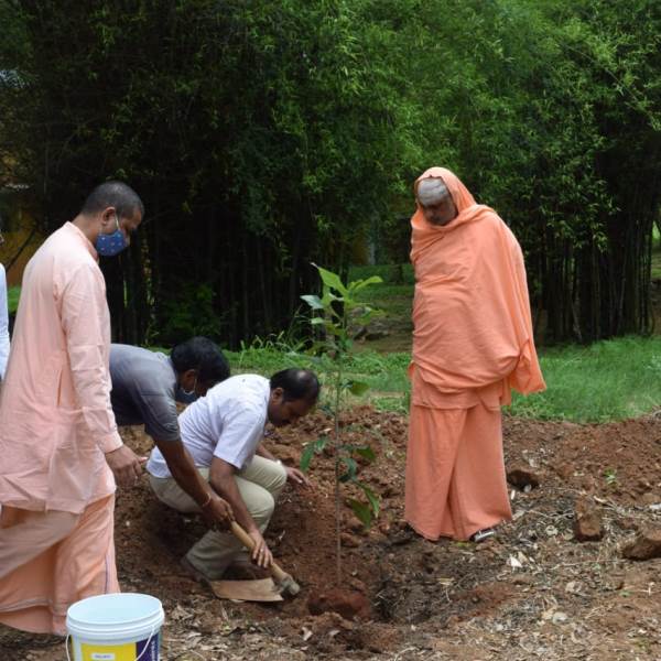 Trees for Navratri near Mahakal Ujjain (9th Apr)