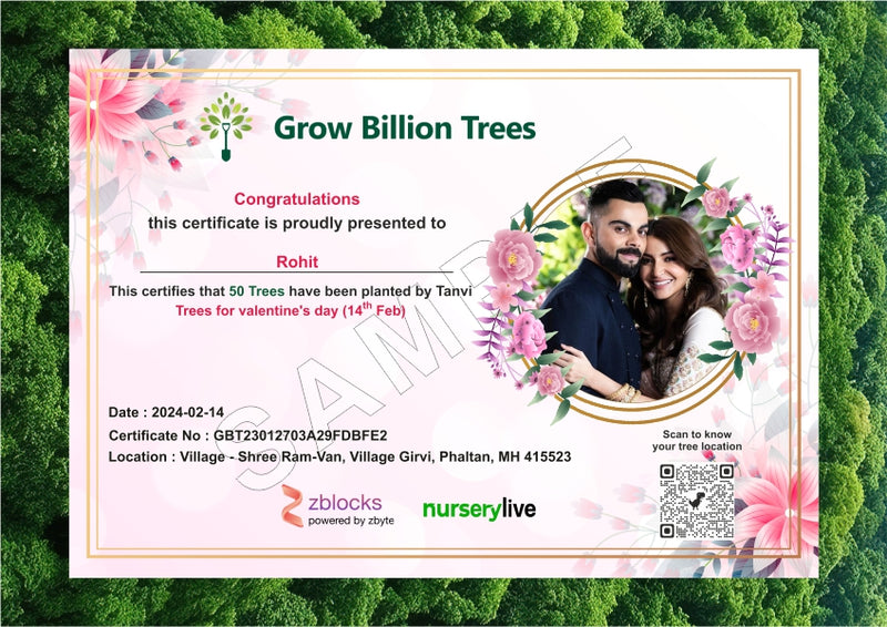 Love's Legacy - 50 Eternal Trees on Valentine's Day Gift
