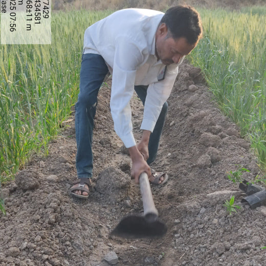Shifting Gears Towards Green: Audi Mumbai West Plants for the Planet – Planting