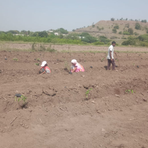 Shifting Gears Towards Green: Audi Mumbai West Plants for the Planet – Planting