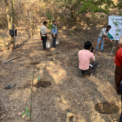 Greening the City:  AAPC India Empowers Employees in Urban Forest Creation – Planting