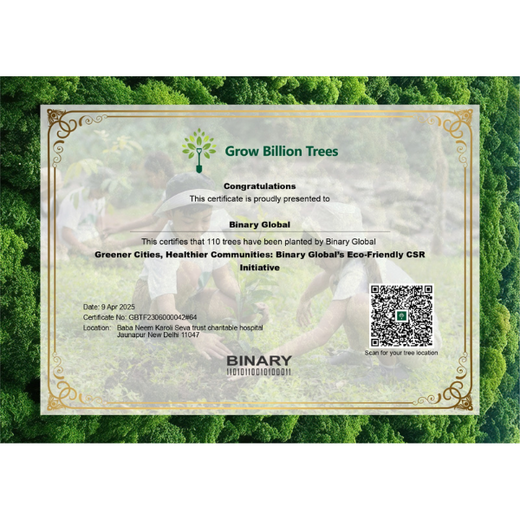 Greener Cities, Healthier Communities: Binary Global’s Eco-Friendly CSR Initiative – 6 months