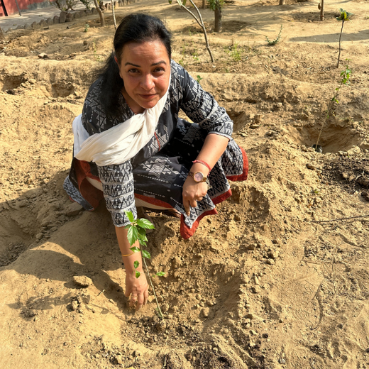 Greener Cities, Healthier Communities: Binary Global’s Eco-Friendly CSR Initiative – 6 months