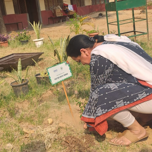 Greener Cities, Healthier Communities: Binary Global’s Eco-Friendly CSR Initiative – 6 months