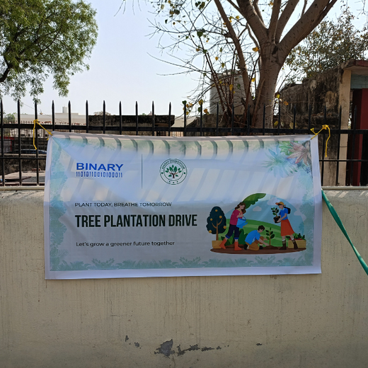 Greener Cities, Healthier Communities: Binary Global’s Eco-Friendly CSR Initiative – 6 months