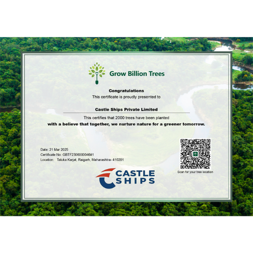 Beyond the Waves: Castle Ships’ Agroforestry Drive for Climate Action – Planting