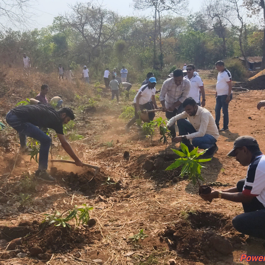 Beyond the Waves: Castle Ships’ Agroforestry Drive for Climate Action – Planting
