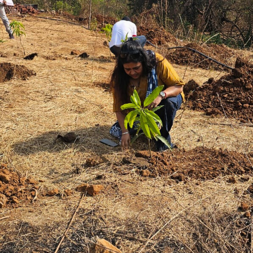 Beyond the Waves: Castle Ships’ Agroforestry Drive for Climate Action – Planting