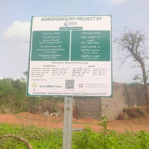 Beyond the Waves: Castle Ships’ Agroforestry Drive for Climate Action – 6 months