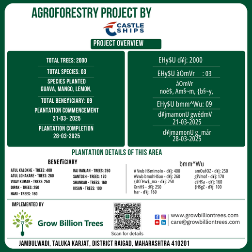 Beyond the Waves: Castle Ships’ Agroforestry Drive for Climate Action – Planting