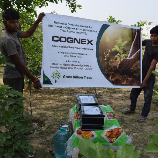 Eco-Inclusive: Cognex Unites for Environment Day – 6 months