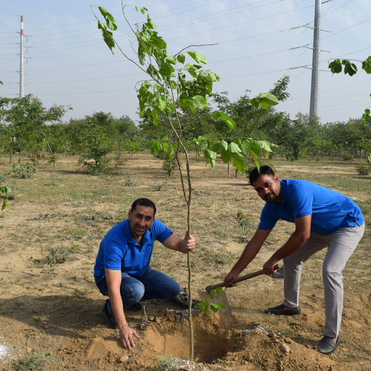 Eco-Inclusive: Cognex Unites for Environment Day – 6 months
