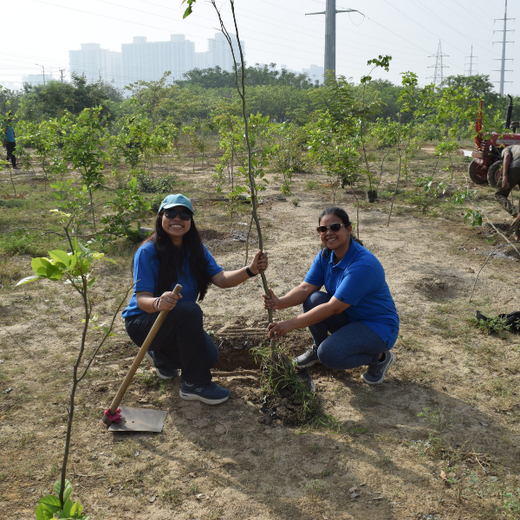 Eco-Inclusive: Cognex Unites for Environment Day – 6 months