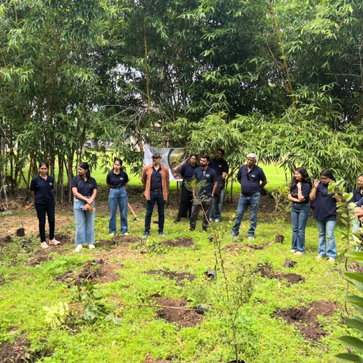 Digital Roots, Green Shoots: DOT PROFESSIONALS'  Urban Forest CSR Drive – 6 months