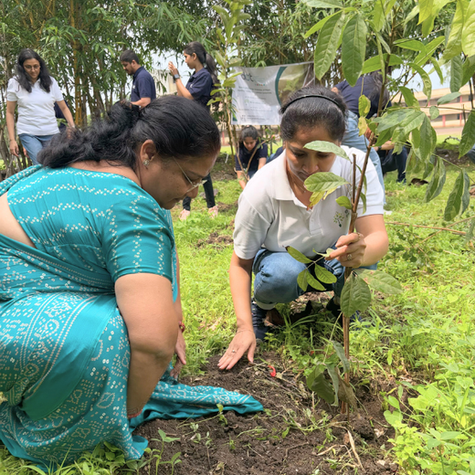 Digital Roots, Green Shoots: DOT PROFESSIONALS'  Urban Forest CSR Drive – 6 months
