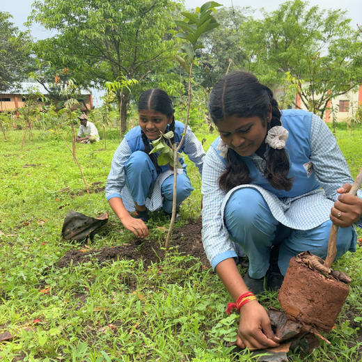 Digital Roots, Green Shoots: DOT PROFESSIONALS'  Urban Forest CSR Drive – 6 months