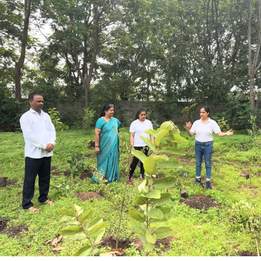 Digital Roots, Green Shoots: DOT PROFESSIONALS'  Urban Forest CSR Drive – 6 months