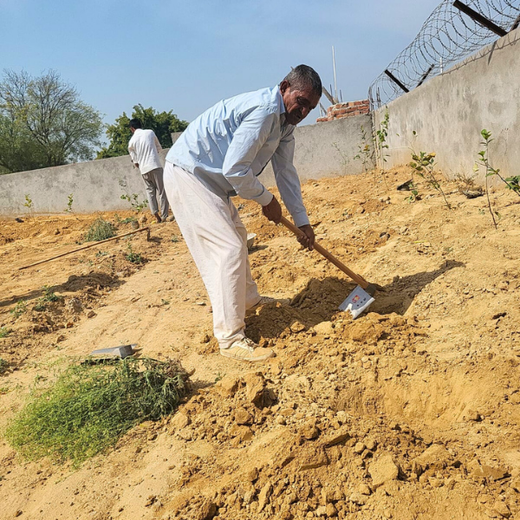 Growing Green, Empowering Farmers: Fareportal’s Agroforest CSR Drive – Planting