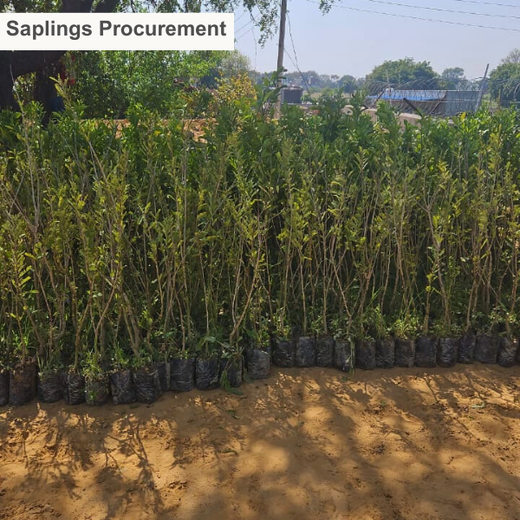 Growing Green, Empowering Farmers: Fareportal’s Agroforest CSR Drive – Planting