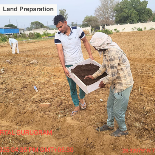 Growing Green, Empowering Farmers: Fareportal’s Agroforest CSR Drive – Planting